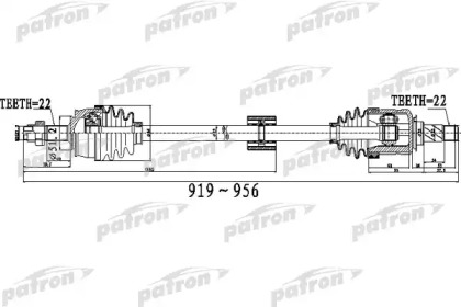 PDS0527 PATRON  