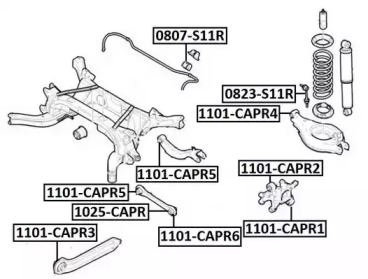 1101-CAPR1 ASVA ,    